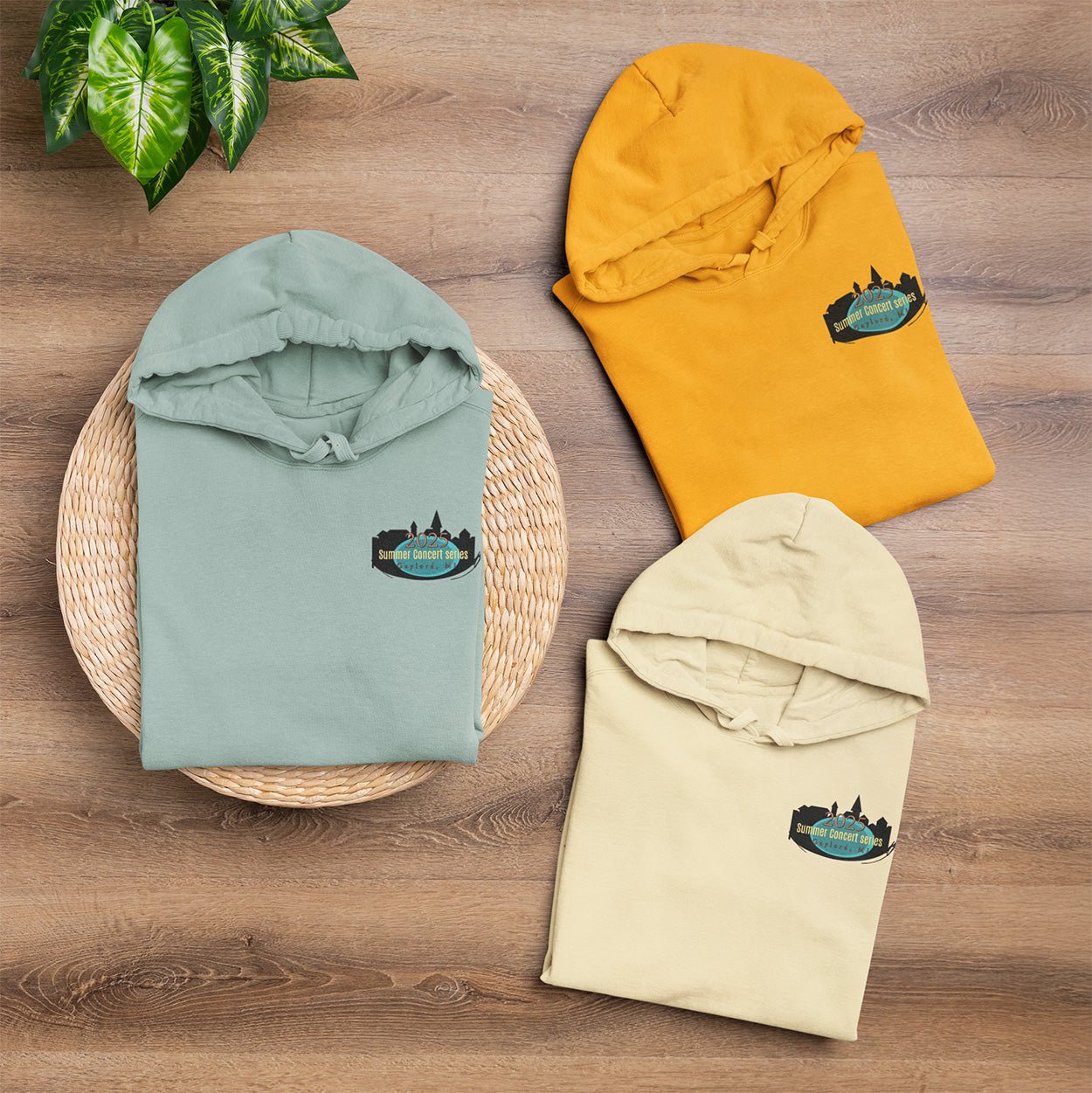 Gaylord Summer Concert Series Hoodie - DecalFreakz